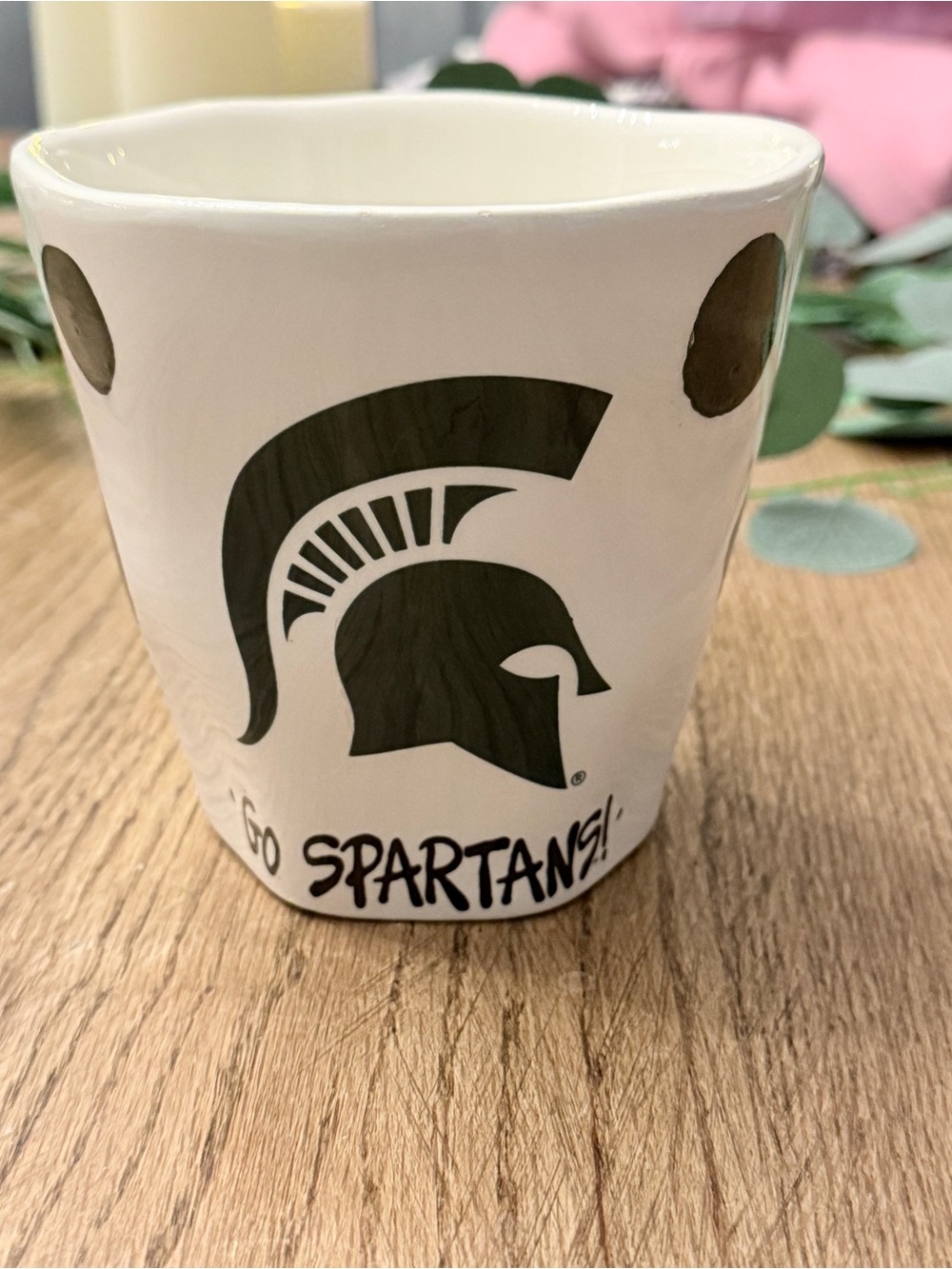 Cabells Michigan State Spartans University Handpainted Coffee Mug GUC